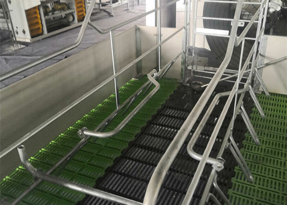 Qualität  Fabricated Prefab Steel Structure Pig House Galvanised Industrial usine