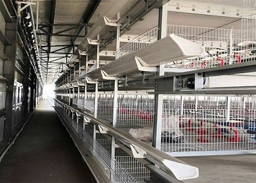 Stahlkonstruktions-Bauernhof-Geflügel-Schicht-vorfabriziertes Hühnerhaus Soems/ODM