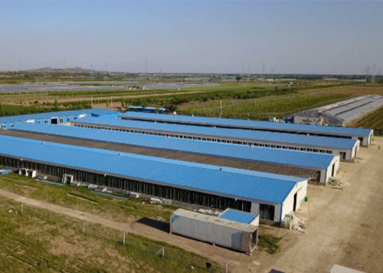 Galvanisiertes Stahlkonstruktions-Geflügel-Haus-windundurchlässiges Stahlhühnerhaus