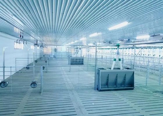 Windundurchlässiges Stahlkonstruktions-Schwein-Haus-Portal fabrizierte Stahlrahmen ISO9001 vor