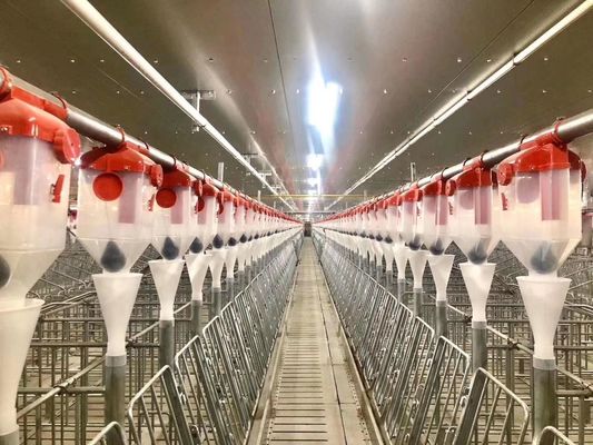 Windundurchlässiges Stahlkonstruktions-Schwein-Haus-Portal fabrizierte Stahlrahmen ISO9001 vor