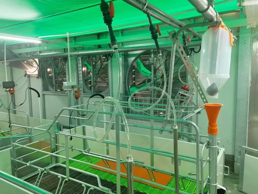 Windundurchlässiges Stahlkonstruktions-Schwein-Haus-Portal fabrizierte Stahlrahmen ISO9001 vor