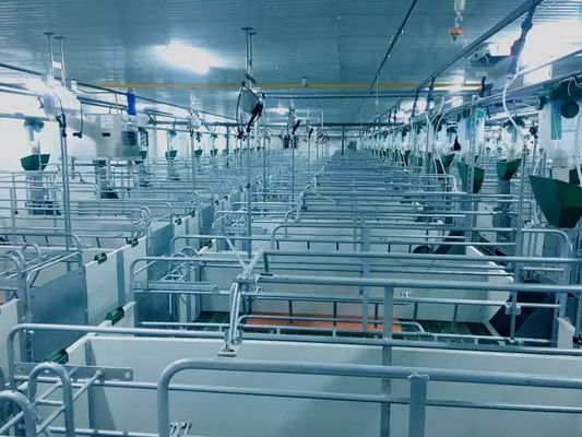 Windundurchlässiges Stahlkonstruktions-Schwein-Haus-Portal fabrizierte Stahlrahmen ISO9001 vor