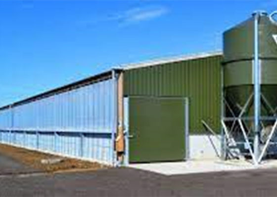 Fertigstahlportalrahmenkonstruktions-Bau-windundurchlässiges Schwein-Haus