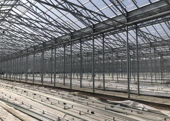 Grünpflanzengarten-Gewächshaus aus gehärtetem Glas für große Zierblumen