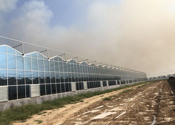 Grünpflanzengarten-Gewächshaus aus gehärtetem Glas für große Zierblumen