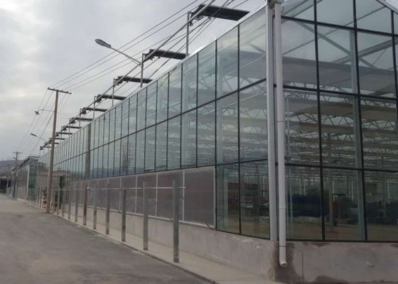 Hochwertige verzinkte Rohrgewächshausglasabdeckung für den gewerblichen Einsatz