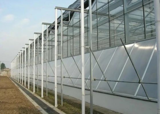Hochwertige verzinkte Rohrgewächshausglasabdeckung für den gewerblichen Einsatz