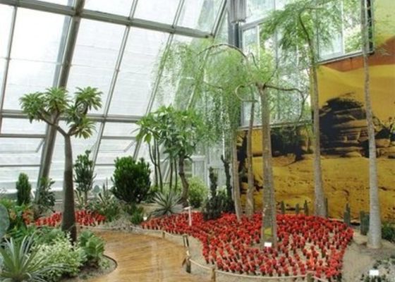 Wintergarten Sonnenlichtraum Kleines Venlo-Glasgewächshaus aus Stahl Entspannt