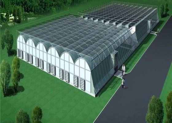 Gewohnheits-geformtes Glassämlings-Gewächshaus/Anzuchtbeet-Züchtung/bewegliches Saatbeet