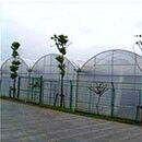 Gewächshaus mit durchgehender PO-Folie zur Steigerung des Gemüseertrags