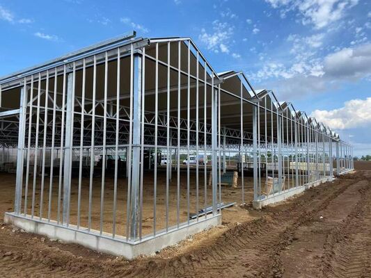 Venluo Sightseeing Glas Gewächshaus - Gewächshaus für den Großanbau von Gemüse
