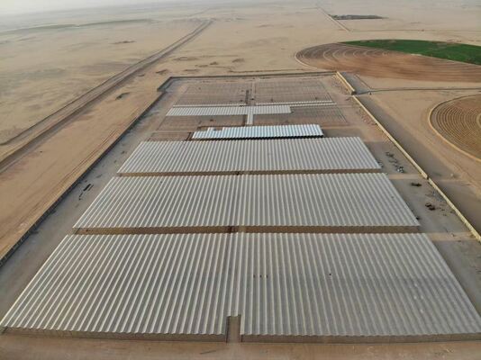 Landwirtschaftliche Anbaufläche, Glasgewächshaus Wannuo