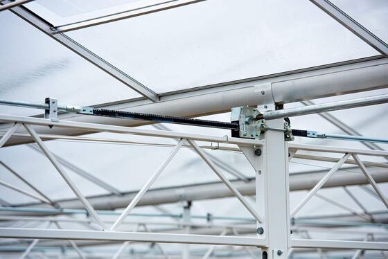 Landwirtschaftliche Anbaufläche, Glasgewächshaus Wannuo