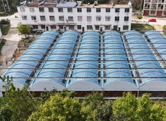 Ein Gewächshaus aus Polyethylen-Folien mit Dauerspannung zur Steigerung der Gemüsererträge und Beschleunigung des Reifungsprozesses von Gemüse