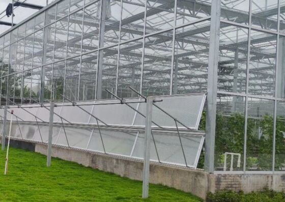 Wenlu Tourist Glass Greenhouse - Gewächshaus für den Großanbau von Früchten