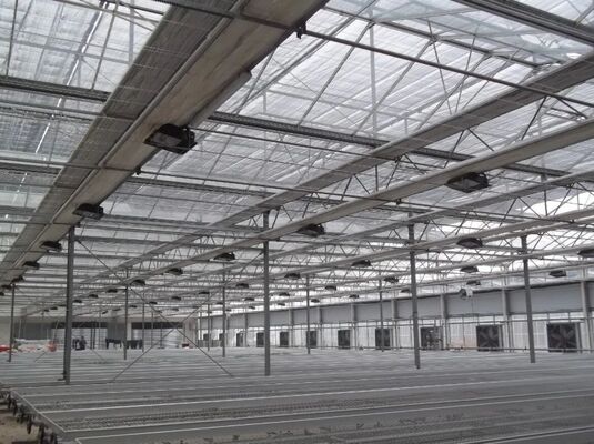 Gewächshaus für den Obstanbau, großes Glasgewächshaus für Sightseeing